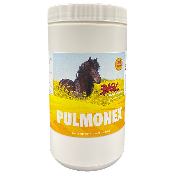 Basic Equine Nutrition - Pulmonex - Selkirk Mountain Tack