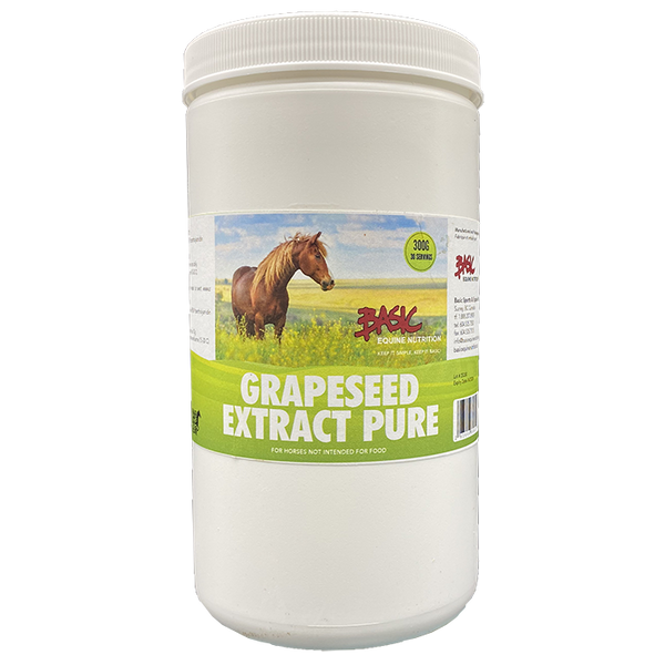 Basic Equine Nutrition Grape Seed Extract Pure