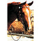 West Poco Headstall - Pony - Selkirk Mountain Tack