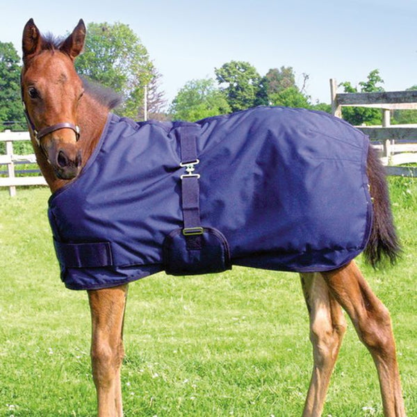 Mini and Foal Winter Blanket by Canadian Horsewear - Selkirk Mountain Tack