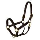 Leather Halter for Foals, Shetlands, and Yearlings - Selkirk Mountain Tack