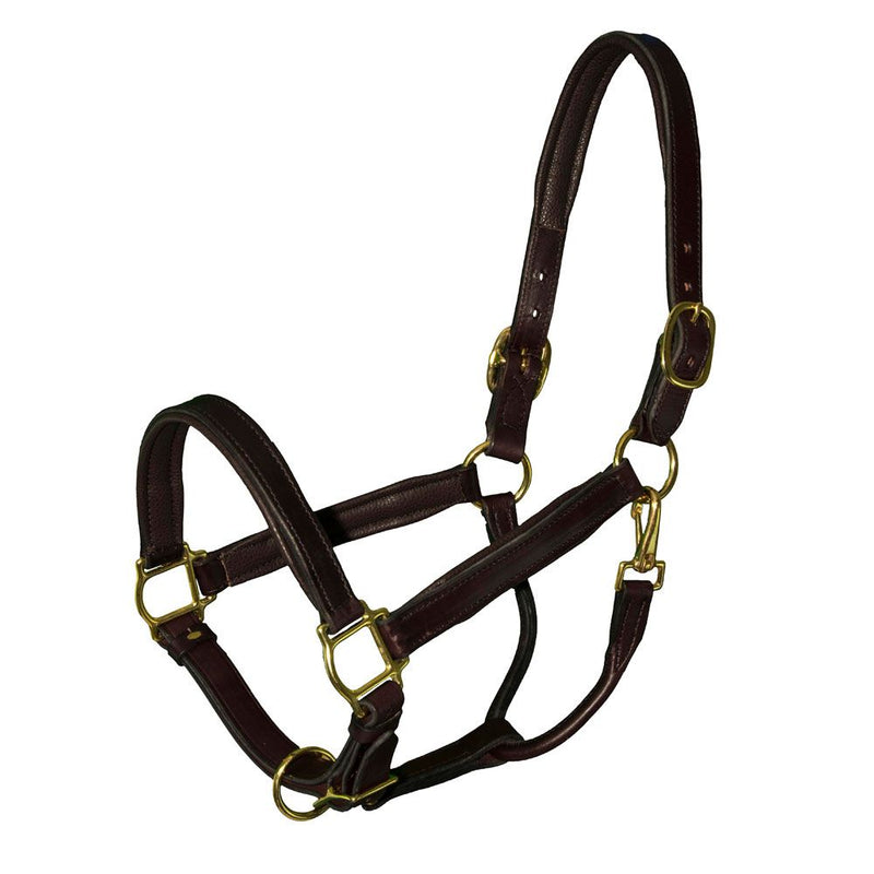 Leather Halter for Foals, Shetlands, and Yearlings - Selkirk Mountain Tack