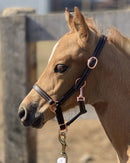 Sage Family Rose Gold Leather Halter for Foals, Shetlands, and Yearlings - Selkirk Mountain Tack