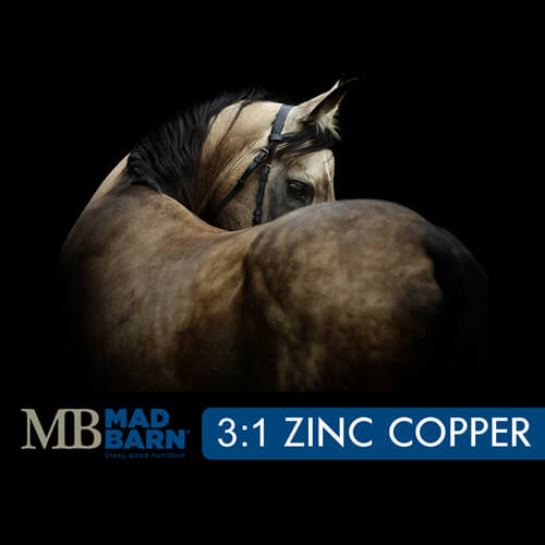 Mad Barn Organic Zinc & Copper 3 to 1 - Selkirk Mountain Tack