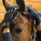 Equi-Essentials Ultimate Grooming Gloves - Selkirk Mountain Tack