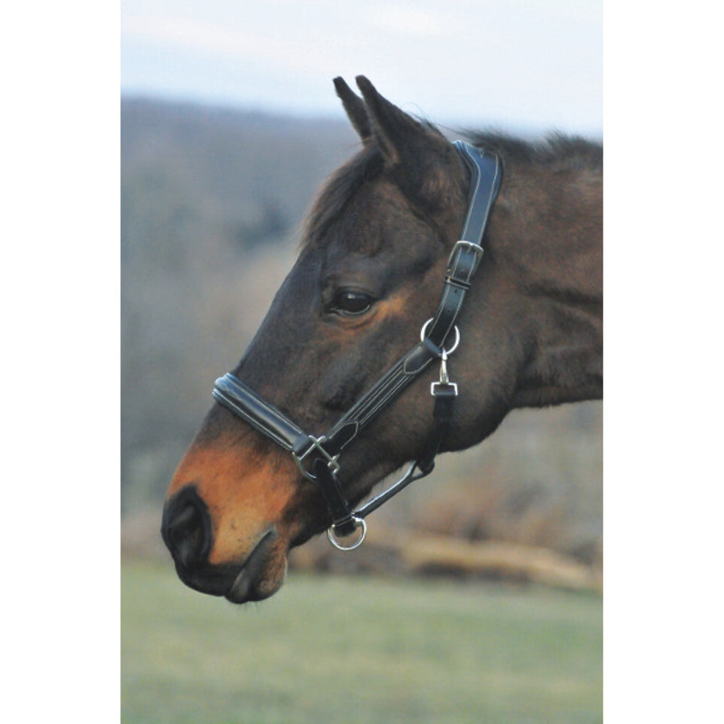 HDR STRESS FREE HALTER WITH FANCY CONTRAST STITCHING - Selkirk Mountain Tack