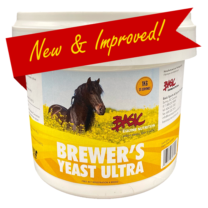 Basic Equine Nutrition - Brewer’s Yeast Ultra - Selkirk Mountain Tack