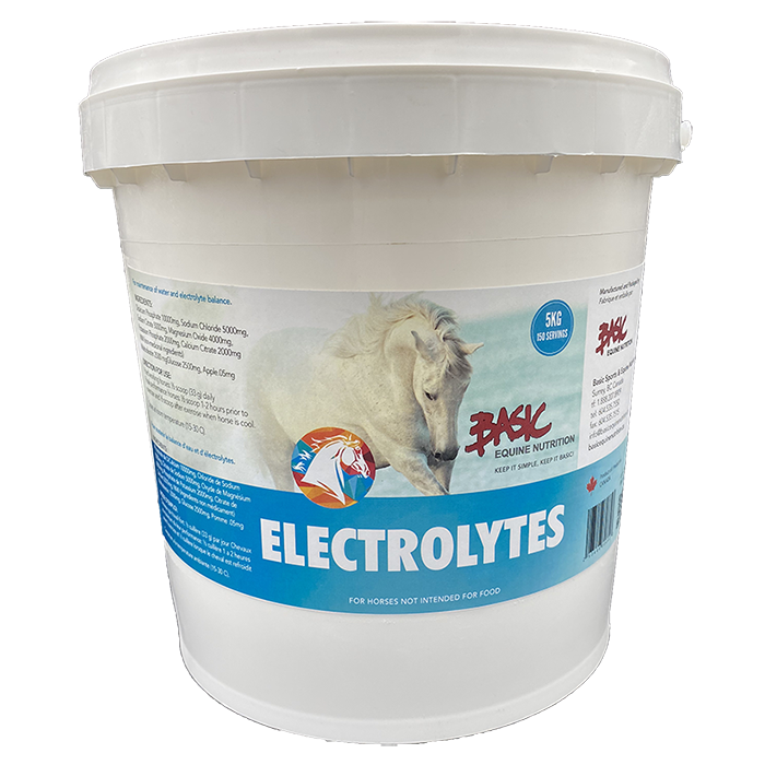 Basic Equine Nutrition - Electrolytes - Selkirk Mountain Tack