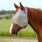 Cashel Crusader Fly Mask without Ears - Selkirk Mountain Tack