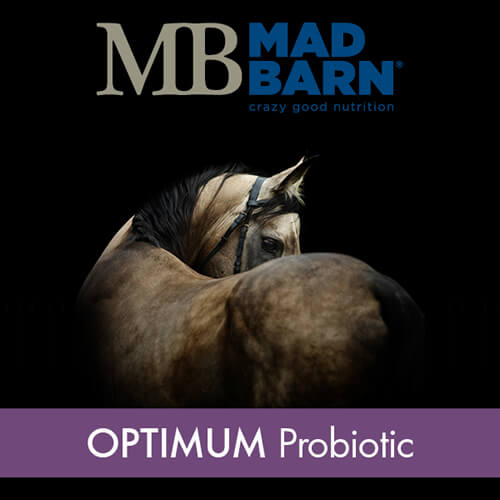 Mad Barn OPTIMUM PROBIOTICS - Selkirk Mountain Tack