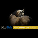 Mad Barn PERFORMANCE XL: ELECTROLYTES - Selkirk Mountain Tack