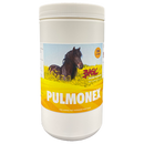 Basic Equine Nutrition - Pulmonex - Selkirk Mountain Tack