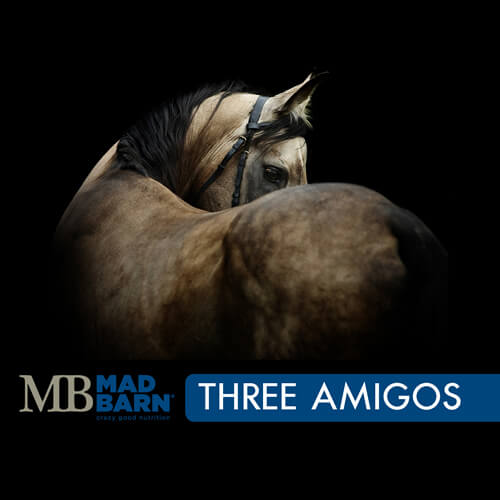 Mad Barn Three Amigos - Selkirk Mountain Tack