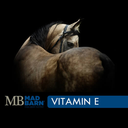 Mad Barn Vitamin E - Selkirk Mountain Tack