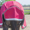 Canadian Horsewear Habanera Diablo Turnout 300gm - 75" and 81"