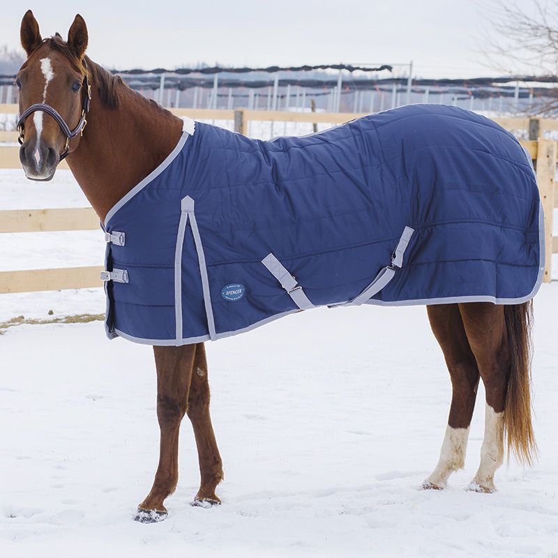 Spencer Insulator Stable Blanket by Canadian Horsewear - 150 gm fill - Selkirk Mountain Tack